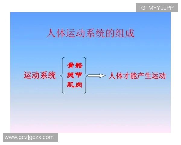 体育精神与现代竞技体育的融合发展探索与未来趋势分析